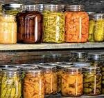 import frozen sardine tunisia