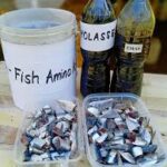 import frozen sardine tunisia