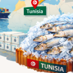 tunisian frozen sardine fillet